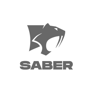 Saber Interactive