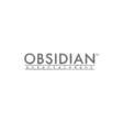 Obsidian Entertainment